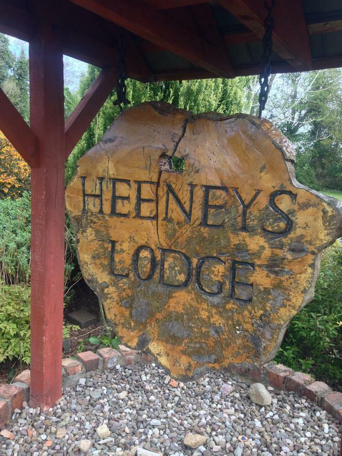 Heeneys Lodge B&B 多尼戈尔 外观 照片